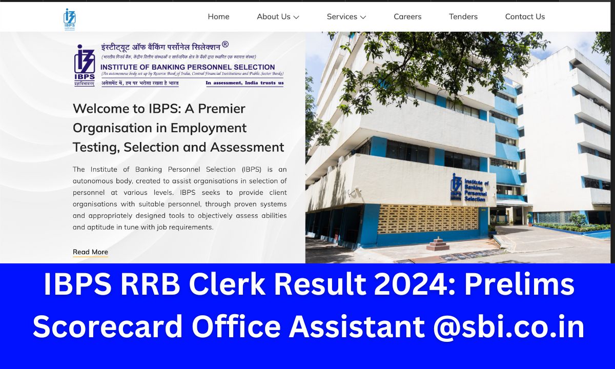 IBPS RRB Clerk Result 2024: Prelims Scorecard Office Assistant @ibps.in